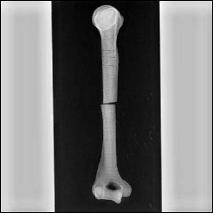 Filamento 3DXTech Simubone